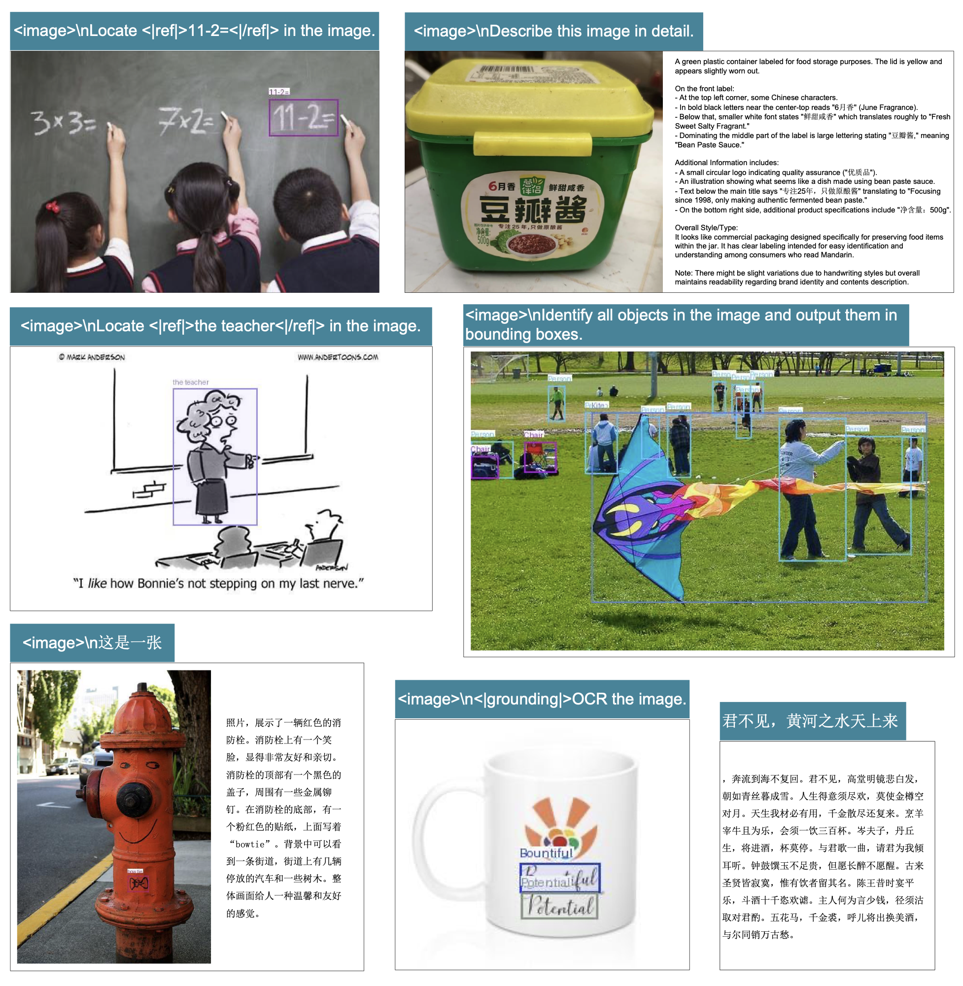 通用视觉理解能力示例